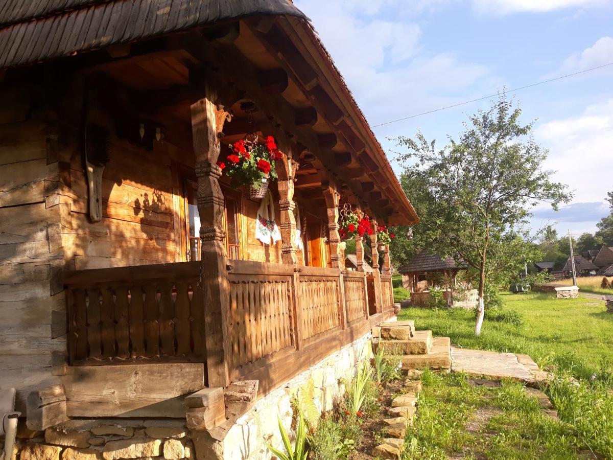 Pensiunea La Gorgan Vadu Izei Dış mekan fotoğraf