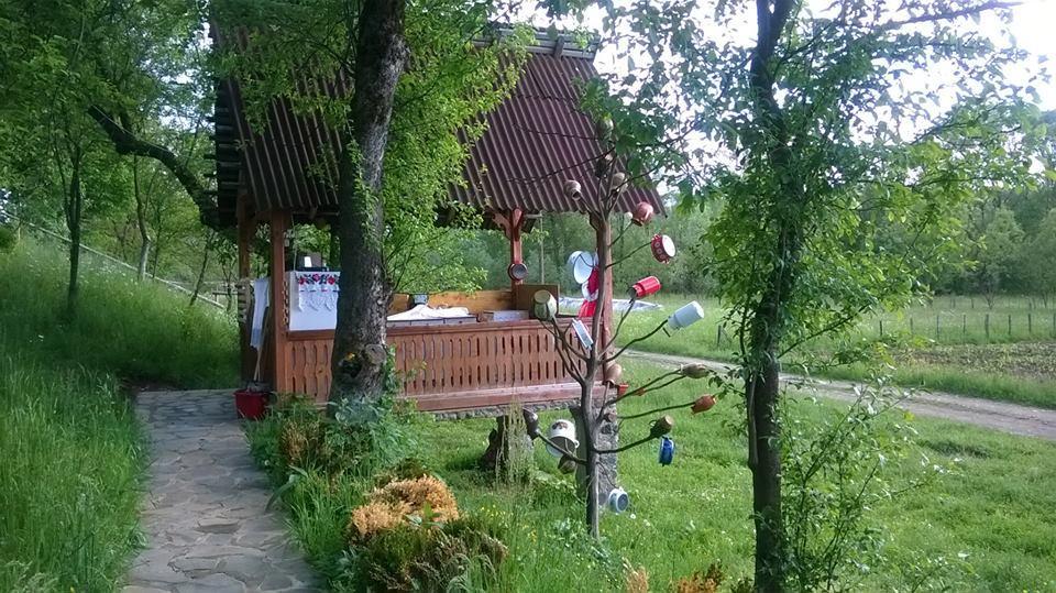 Pensiunea La Gorgan Vadu Izei Dış mekan fotoğraf