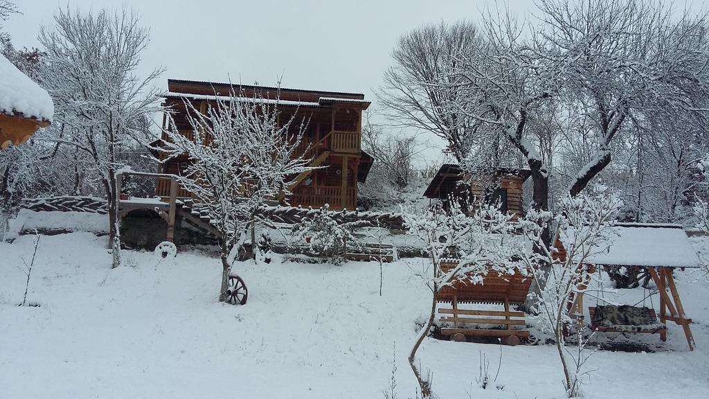 Pensiunea La Gorgan Vadu Izei Dış mekan fotoğraf