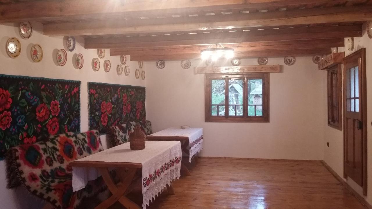 Pensiunea La Gorgan Vadu Izei Dış mekan fotoğraf