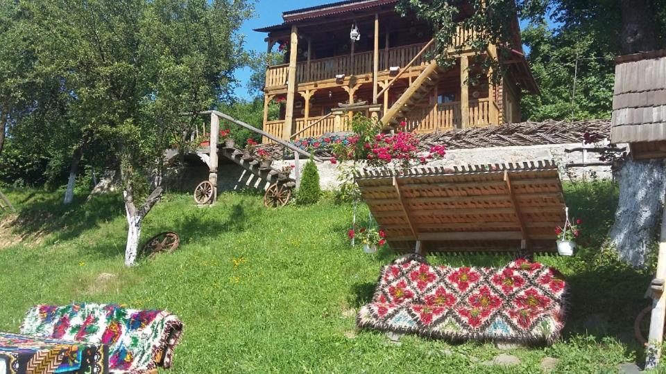 Pensiunea La Gorgan Vadu Izei Dış mekan fotoğraf